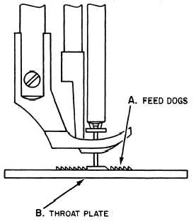 Feed dogs